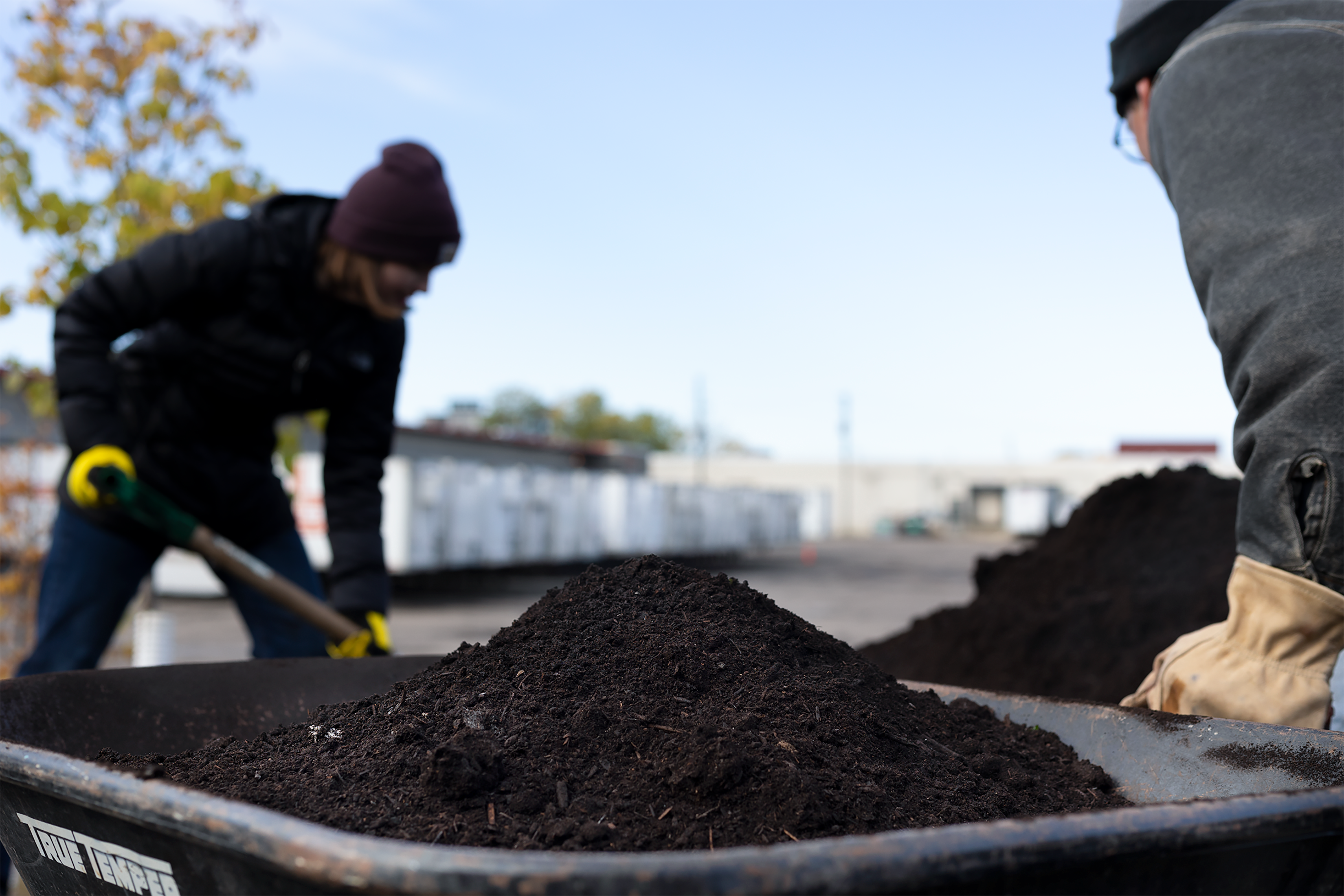 Volunteers moving compost