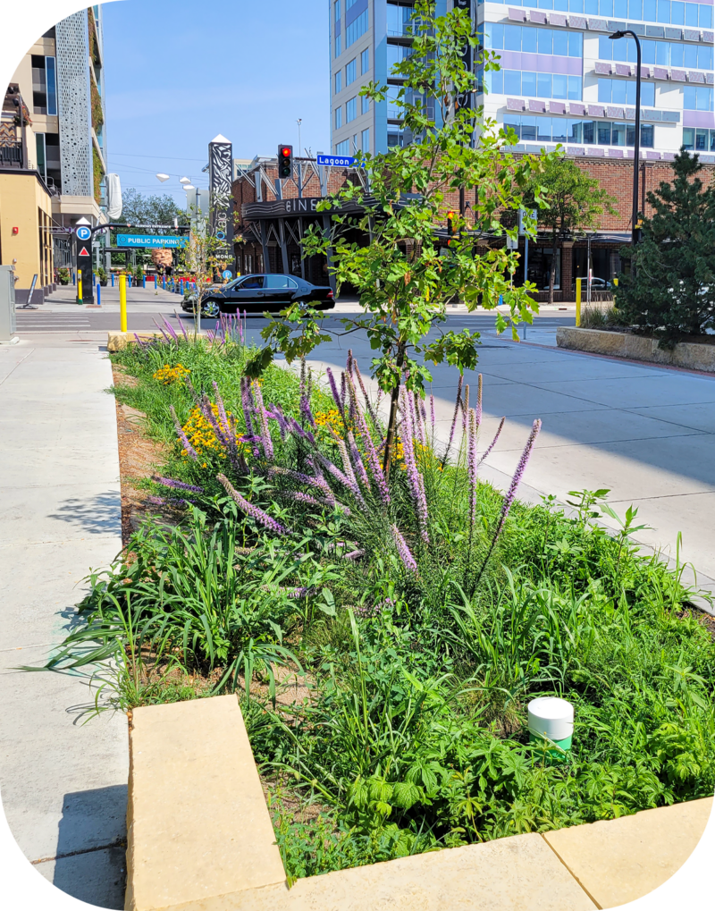 How to design for flood prevention - pockets of stormwater infiltration to maximize water quality treatment in a fully developed area with minimal available space. Minneapolis, MN.